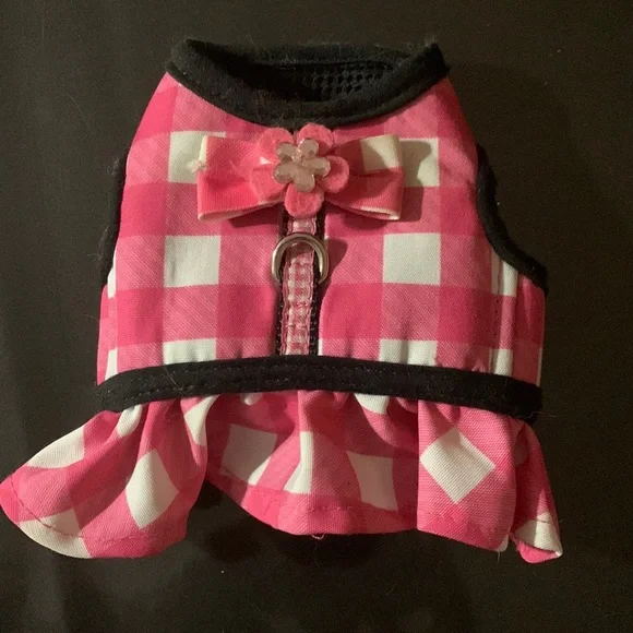 Cute outfit - Picture 1 of 5